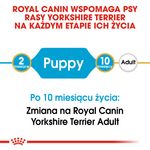 ROYAL CANIN Yorkshire Terrier Puppy - Trockenfutter für Hunde - 1,5 kg - Fotogalerie 6
