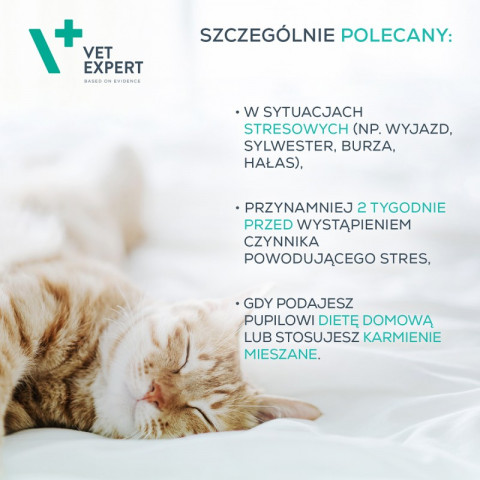 VET EXPERT Calm&Relax – Präparat gegen Stresssymptome für Hunde und Katzen – 30 Kapseln. - Fotogalerie 2
