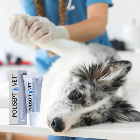 JM SANTE Polisept Vet Wound gel Silver Pro - gelverband für hunde und katzen – 30 ml - Fotogalerie 2