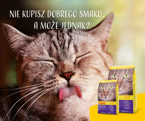 Josera Culinesse Katzen-Trockenfutter 2 kg Adult Geflügel, Lachs - Fotogalerie 2