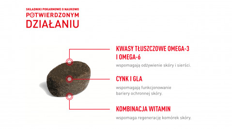 ROYAL CANIN Supplements Dog Skin & Coat Adult - hundevitamine - 240g - Fotogalerie 2
