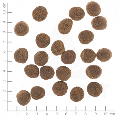 WOLFSBLUT VetLine Gastrointestinal Duck - trockenfutter für Hunde - 2kg - Fotogalerie 2