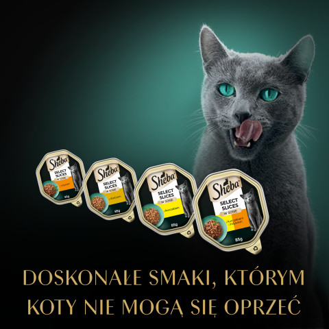 SHEBA Schalensauce Geflügel/Huhn/Pute - Katzennassfutter - 32x85g - Fotogalerie 2