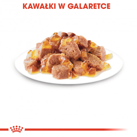 ROYAL CANIN FHN Instinctive in Jelly - Nassfutter für ausgewachsene Katzen - 12x85g - Fotogalerie 3