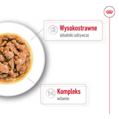 ROYAL CANIN Mini Adult - nassfutter für Hunde - 12 x 85g - Fotogalerie 3