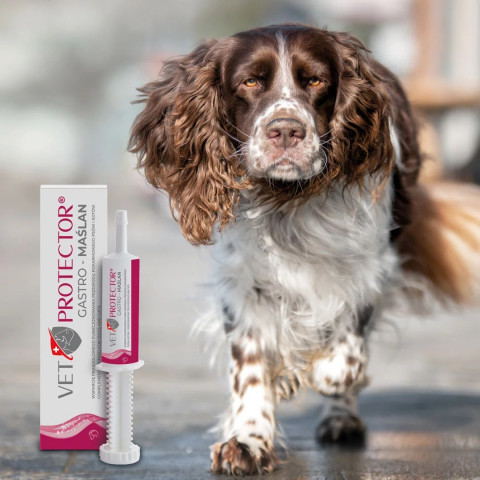 VET PROTECTOR Gastro Butyrate - kosttilskud til hund og kat - 60ml - Fotogalerie 2