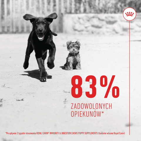 ROYAL CANIN Supplements Dog Immunity & Digest Puppy - hundevitamine - 100g - Fotogalerie 9