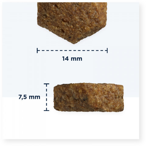 Eukanuba Dermatosis FP for Dogs 5 kg Adult Fisch, Kartoffel - Fotogalerie 2