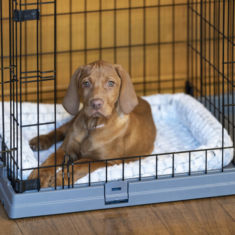 FERPLAST Superior 90 - Hundekäfig - 92 x 58,5 x 62,5 cm - Fotogalerie 9