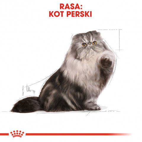 Royal Canin Persian Katzen-Trockenfutter 4 kg Adult Mais, Geflügel - Fotogalerie 11