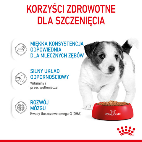 ROYAL CANIN SHN Mini Puppy in Sauce - Nassfutter für Welpen - 12X85g - Fotogalerie 8