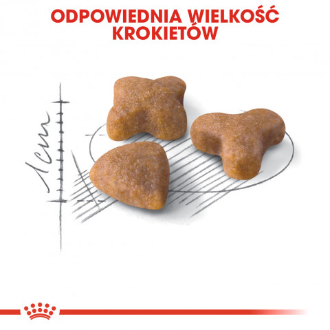 Royal Canin FHN Sensible - Trockenfutter für ausgewachsene Katzen - 4kg - Fotogalerie 5
