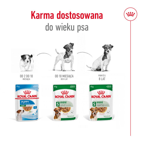 ROYAL CANIN Mini Ageing - nassfutter für Hunde - 12 x 85g - Fotogalerie 5