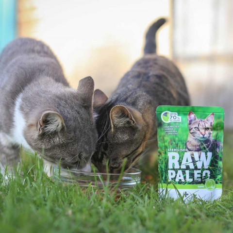 RAW PALEO Adult Cat Sterilised Wild – Nassfutter für Katzen – 100 g - Fotogalerie 3