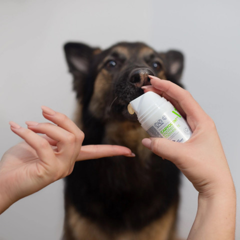VETEXPERT Caryodent Enzymatic Toothpaste - enzymatische zahnpasta für hunde und katzen - 50 ml - Fotogalerie 2