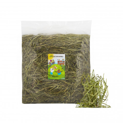 FACTORYHERBS Timotheus-Heu für Nagetiere und Kaninchen – 1,5 kg - Fotogalerie 1