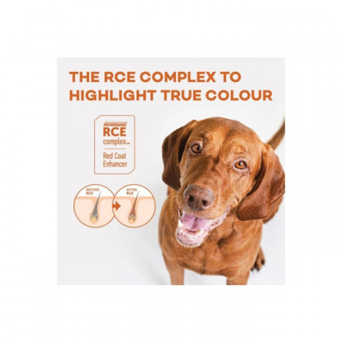 NATURE'S PROTECTION Superior Care Red Coat Adult Small breed Grain free Salmon - trockenfutter für Hunde - 1,5kg - Fotogalerie 3