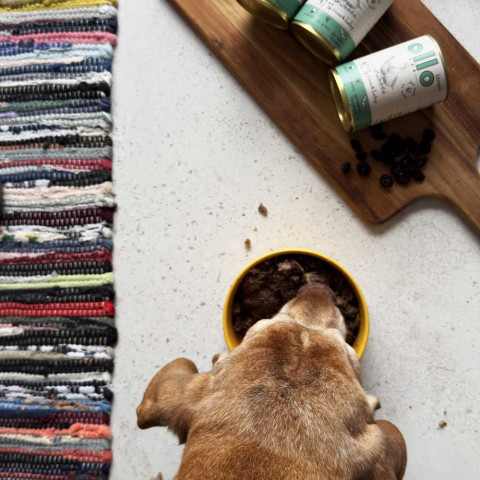 OLLO Umami Goose and turkey - Nassfutter für Hunde - 400g - Fotogalerie 4