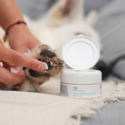 VET EXPERT Paw Protection – schützende Pfotensalbe für Hunde und Katzen – 75 ml - Fotogalerie 2