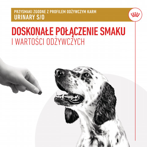 ROYAL CANIN Dog Urinary S/O Treats - leckerli für hunde - 230g - Fotogalerie 7