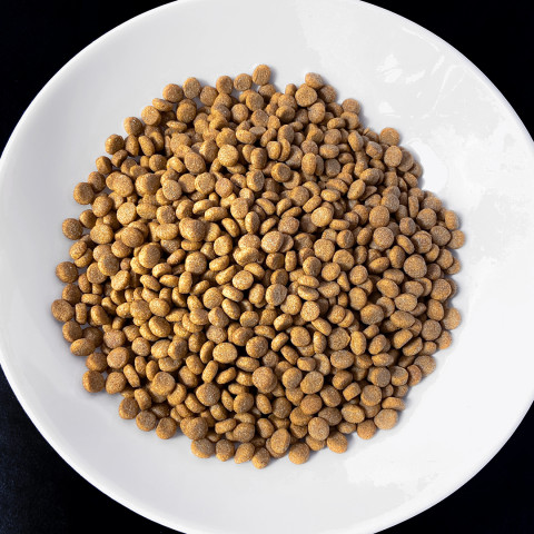 VET RESPONSE Weight balance - trockenfutter für Katzen - 400g - Fotogalerie 3