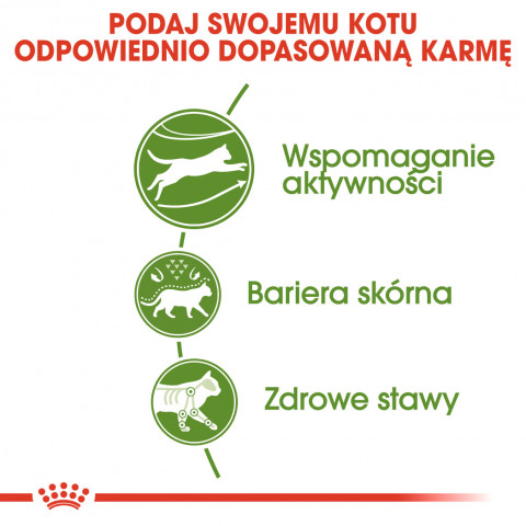 Royal Canin Active Life Outdoor Katzen-Trockenfutter 4 kg Adult Geflügel - Fotogalerie 10