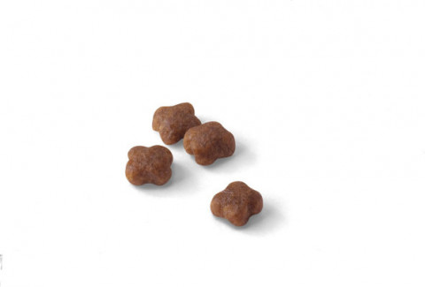 Royal Canin Mother & Babycat Katzen-Trockenfutter 2 kg - Fotogalerie 12
