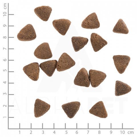 WOLFSBLUT Wide Plain Light Horse with sweet potatoes - trockenfutter für Hunde - 2kg - Fotogalerie 2