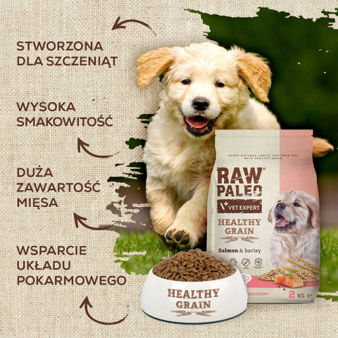 Raw Paleo Healthy Grain Puppy Lachs und Gerste – Trockenfutter für Hunde – 10 kg - Fotogalerie 3