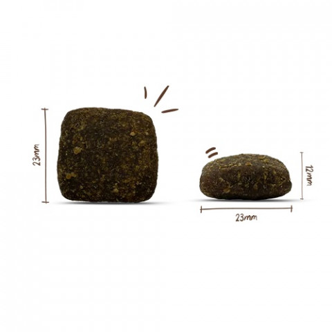 BOSCH Soft Maxi Water buffalo and sweet potatoes - trockenfutter für Hunde - 2,5kg - Fotogalerie 2