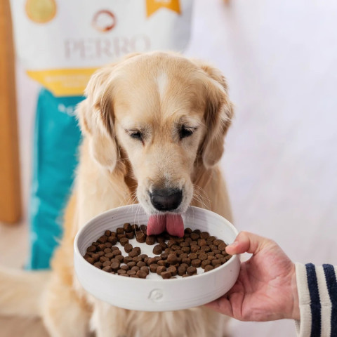 PERRO Duck with sweet potatoes - trockenfutter für Hunde - 12kg - Fotogalerie 4