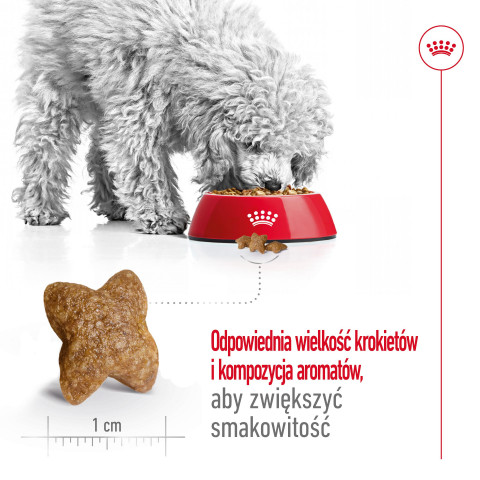 ROYAL CANIN Adult Mini S - trockenfutter für Hunde - 2kg - Fotogalerie 4