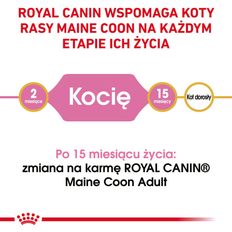 ROYAL CANIN Maine Coon Kitten - Trockenfutter für Katzen - 2 kg - Fotogalerie 9