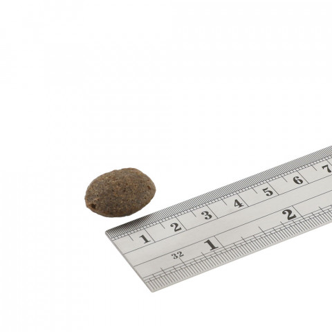 FISH4DOGS Finest Salmon Large breeds - trockenfutter für Hunde - 12kg - Fotogalerie 2