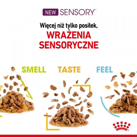 ROYAL CANIN Sensory Taste - nassfutter für Katzen - 12x85g - Fotogalerie 2
