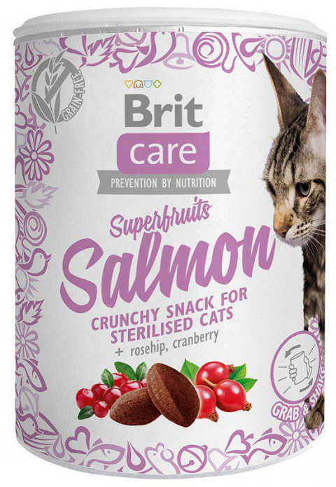 BRIT Care Superfruits Salmon - Katze behandeln - 100 g - Fotogalerie 1