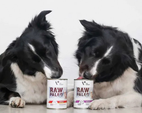 RAW PALEO Adult Monoprotein Beef – Nassfutter für Hunde – 800 g - Fotogalerie 2
