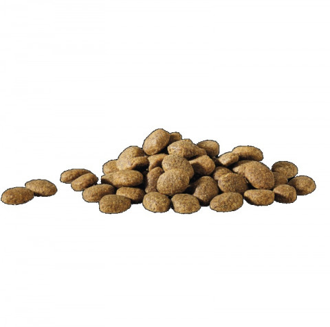 VERSELE-LAGA Happy life Essential - trockenfutter für Hunde - 20kg - Fotogalerie 2