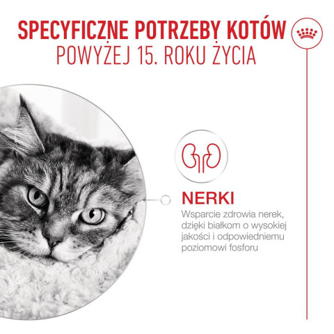 ROYAL CANIN Ageing 15+ - trockenfutter für Katzen - 2kg - Fotogalerie 4