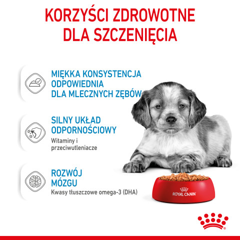 ROYAL CANIN SHN Medium Puppy in Sauce - Nassfutter für Welpen - 10x140g - Fotogalerie 8