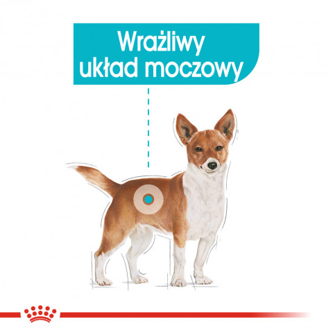Royal Canin CCN Urinary Care Loaf - Nassfutter für ausgewachsene Hunde - 12x85g - Fotogalerie 8