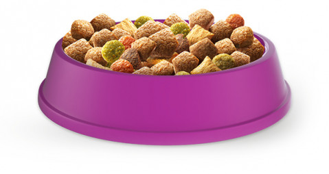 WHISKAS Adult mit Huhn – Trockenfutter für Katzen – 2x14 kg - Fotogalerie 2