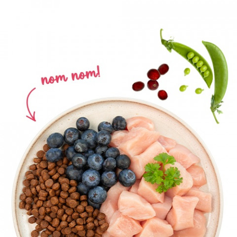 BOSCH Sanabelle Adult Chicken & Blueberries - trockenfutter für Katzen - 2kg - Fotogalerie 3