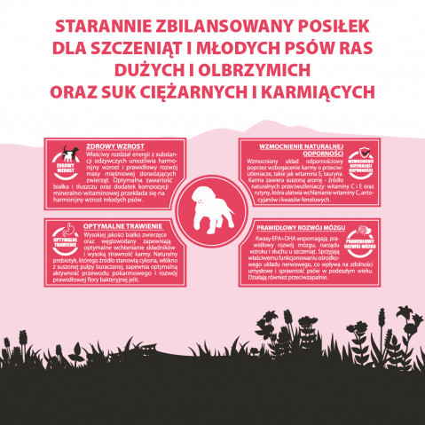 PUPIL Premium Junior Large and extra large breeds Rich in beef - trockenfutter für Hunde - 12kg - Fotogalerie 4