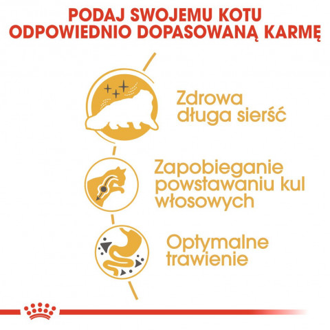 ROYAL CANIN Persian Adult - trockenfutter für Katzen - 2kg - Fotogalerie 4