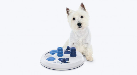 Trixie Hundespielzeug Dog Activity Flip Board - Fotogalerie 2