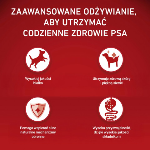 PURINA One Sensitive Mini/Small Salmon with rice - trockenfutter für Hunde - 1,5kg - Fotogalerie 3