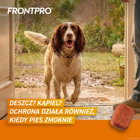 FRONTPRO Floh- und Zeckentabletten für Hund (>10-25 kg) - 3x 68mg - Fotogalerie 3