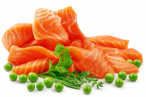 SHELMA Sterilised Salmon - trockenfutter für Katzen - 1,4kg - Fotogalerie 3