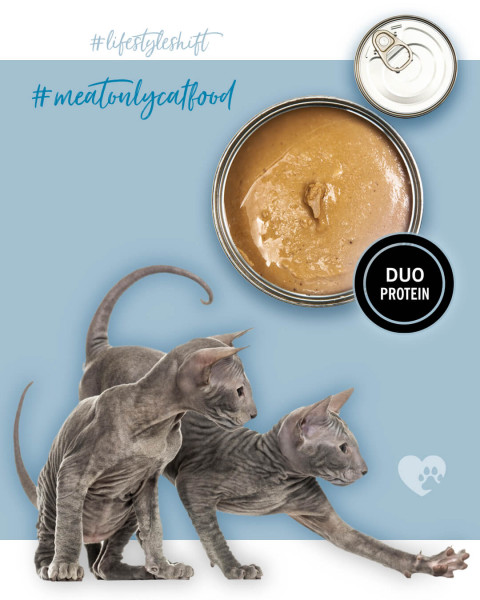 3COTY Turkey with chicken For kittens - nassfutter für Katzen - 24x80g - Fotogalerie 7